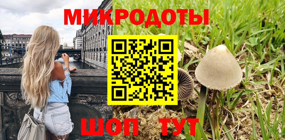 Галлюциногенные грибы Cubensis  Вход с VPN  Тимашёвск 